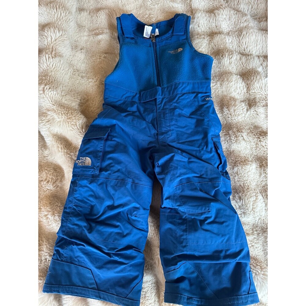 North Face Snow Pants